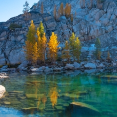 Enchantments Photography Sunlit Larches on an Alpine Lake To order a print please email me at  Mike Reid Photography : aasgard pass, enchantments, leavenworth, enchantments lakes basin, prusik, colchuck, snow lakes, northwest, images, leprechaun lake, larches, gfx50s, fujifilm, hiking photography, landscape photography