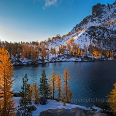 Enchantments Soft Fall Colors To order a print please email me at  Mike Reid Photography : aasgard pass, enchantments, leavenworth, enchantments lakes basin, prusik, colchuck, snow lakes, northwest, images, leprechaun lake, larches