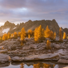 Golden Sunrise Light Larches To order a print please email me at  Mike Reid Photography : aasgard pass, enchantments, leavenworth, enchantments lakes basin, prusik, colchuck, snow lakes, northwest, images, leprechaun lake, larches