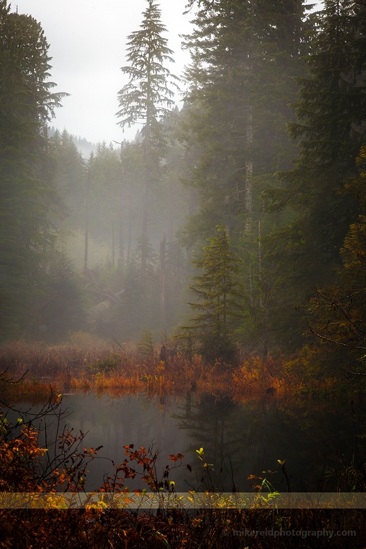 Foggy Fall Pond