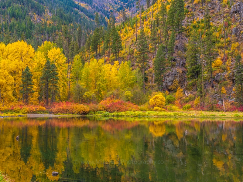 Northwest Fall Colors Reflection Calm Waters