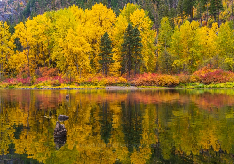 Northwest Fall Colors of the Season