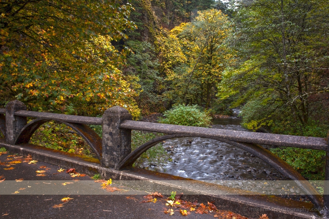Oregon Bridge Fall Colors
