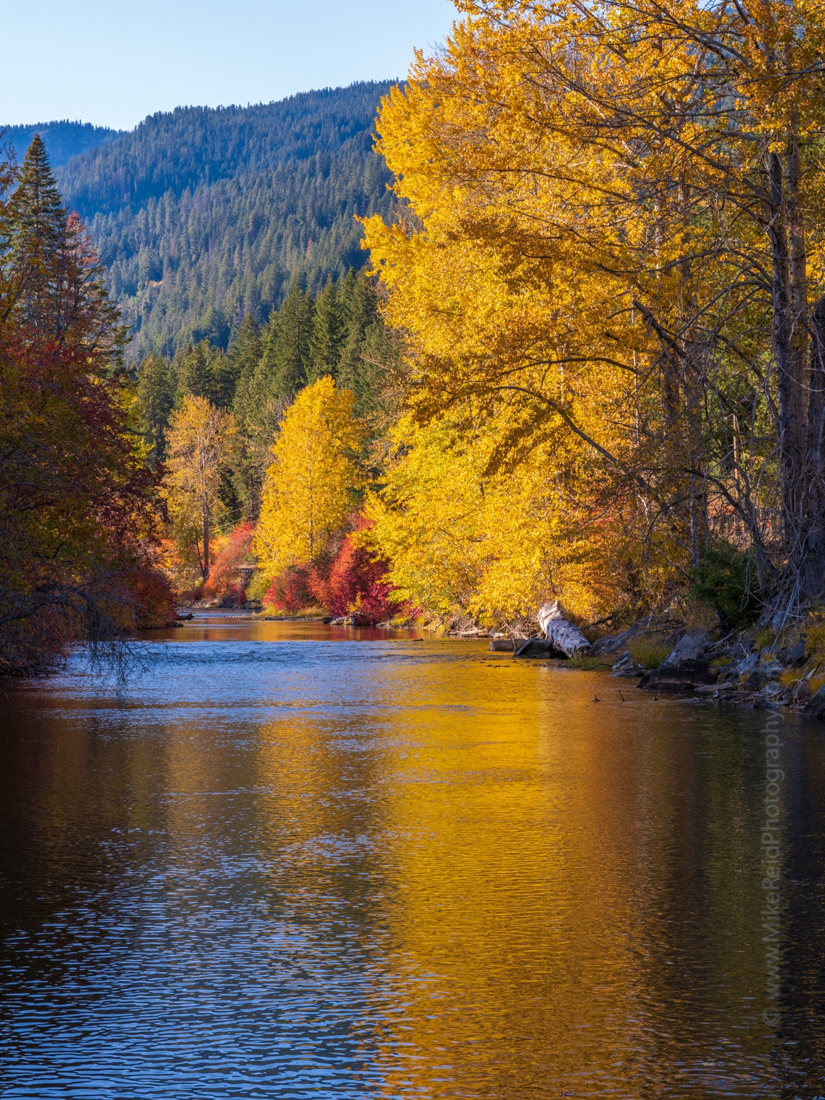 River Through Northwest Fall Colors 