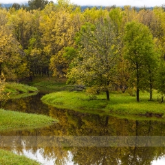 Autumn Colors and River.jpg
