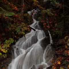 Autumn Falls.jpg