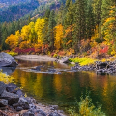 Fall Colors in Tumwater Canyon.jpg
