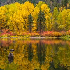 Northwest Fall Colors of the Season.jpg