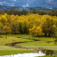 Oregon Autumn Ridge.jpg