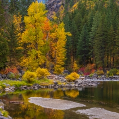 Wenatchee River Fall Colors Reflection.jpg