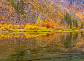 Northwest Fall Colors Beautiful Symmetry
