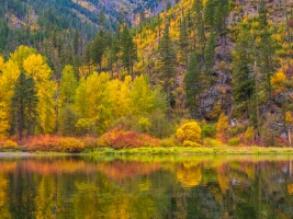 Northwest Fall Colors Reflection Symmetry Horizontal