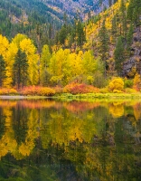 Northwest Fall Colors Reflection Symmetry
