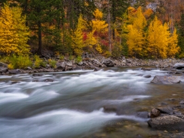 Northwest Fall Colors River