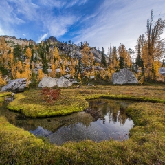 A Winding Autumns Path To order a print please email me at  Mike Reid Photography : alpine lakes, larches, fall colors, enchantments, stuart, ingalls, reflections, mountains, northwest, washington, wenatchee, leavenworth, goats, reflection