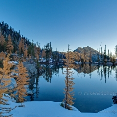 Edge of Larches Pool To order a print please email me at  Mike Reid Photography : alpine lakes, larches, fall colors, enchantments, stuart, ingalls, reflections, mountains, northwest, washington, wenatchee, leavenworth, goats