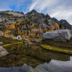 Fall Colors Meadow Reflection To order a print please email me at  Mike Reid Photography : alpine lakes, larches, fall colors, enchantments, stuart, ingalls, reflections, mountains, northwest, washington, wenatchee, leavenworth, goats, reflection