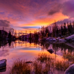 Horseshoe Lake Sunrise Colors