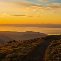 Hurricane Ridge Trail to the Sunset To order a print please email me at  Mike Reid Photography : hurricane ridge, hurricane hill, sunset, deer, olympic national park, washington state, northwest, peaceful, nature, landscape, northwest fine art photography