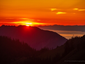 Hurricane Ridge Photography