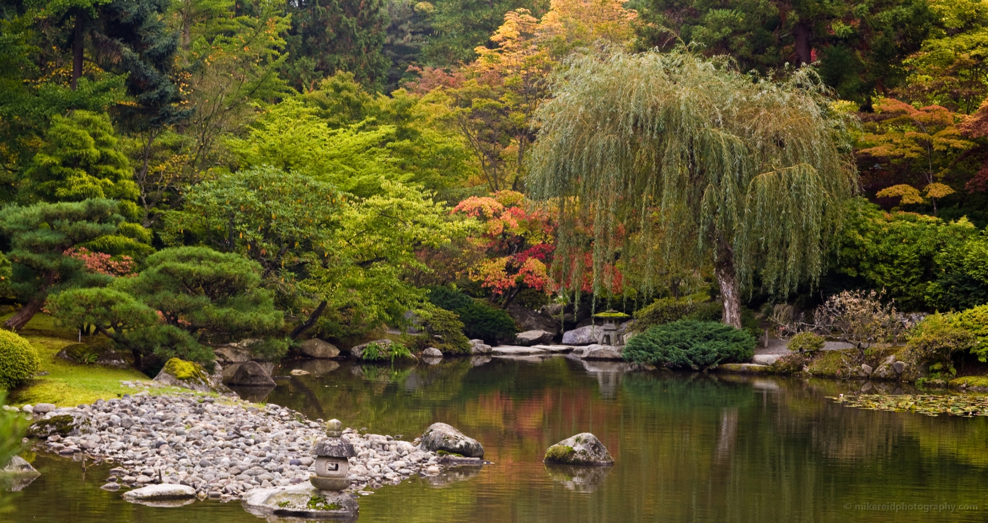 Almost Fall at the Garden