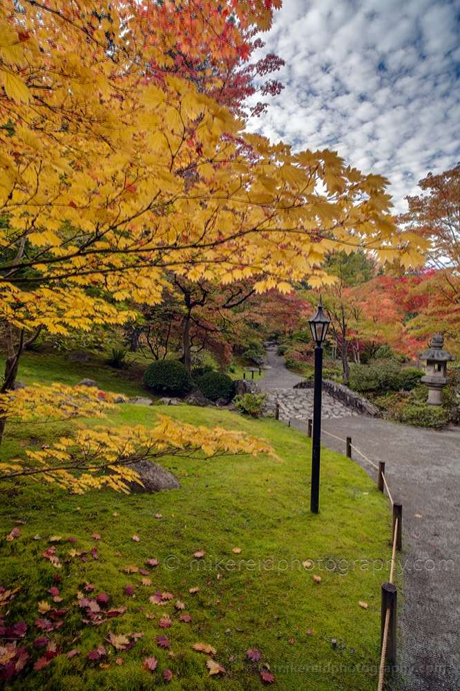 Aroudn the Autumn Corner