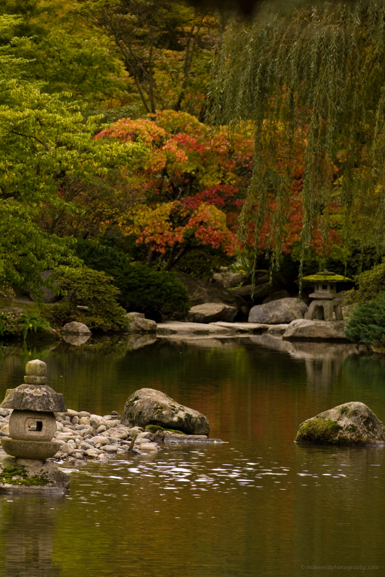 Autumn Serenity