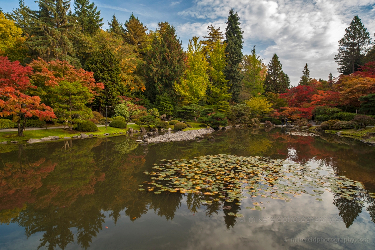 Fall Colors around the Water