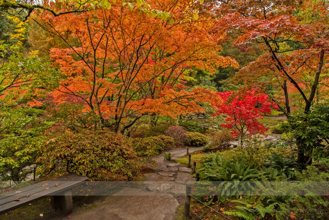 Garden Path