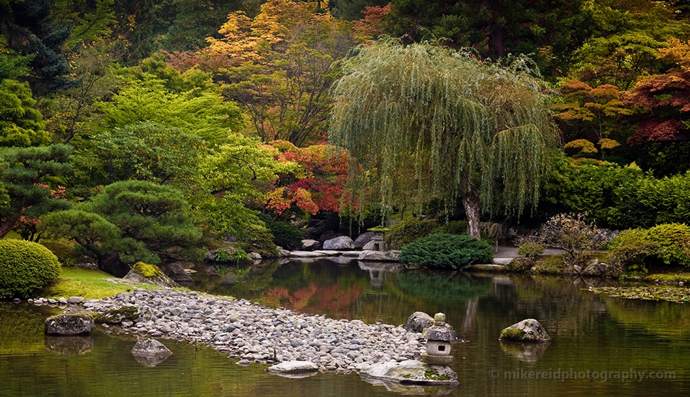 Leaves Just Turning