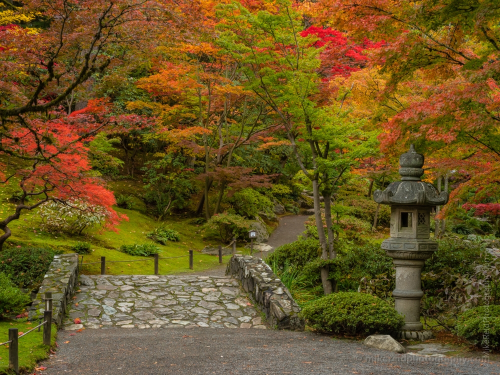 Seattle Arboretum Japanese Garden Bridge Path