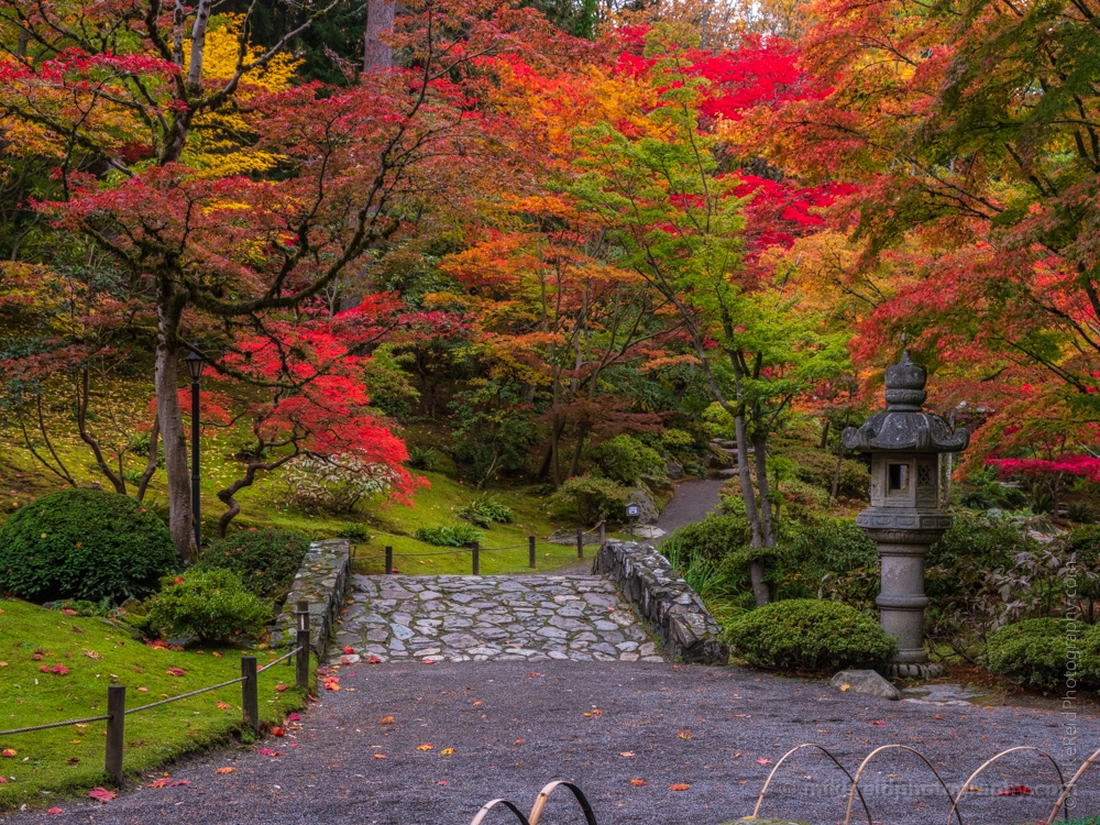 Seattle Arboretum Japanese Garden Bridge Pathway