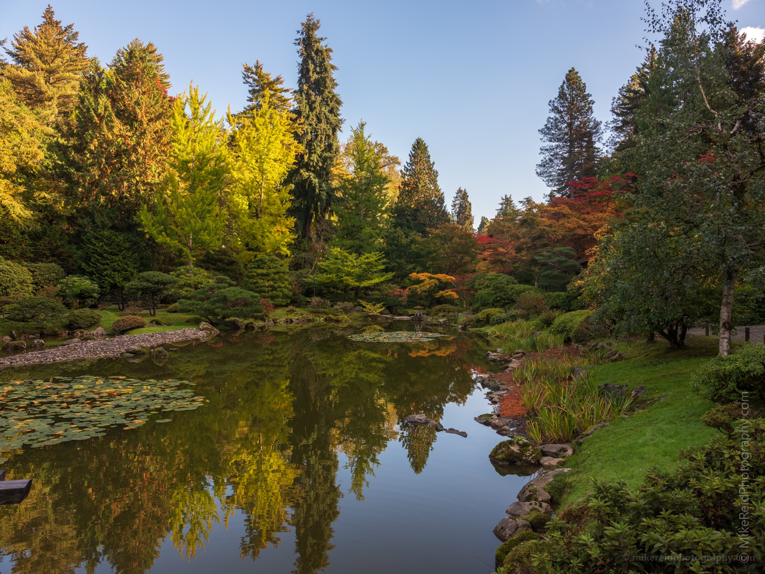 Seattle Japanese Garden Fall Tree Colors Reflection