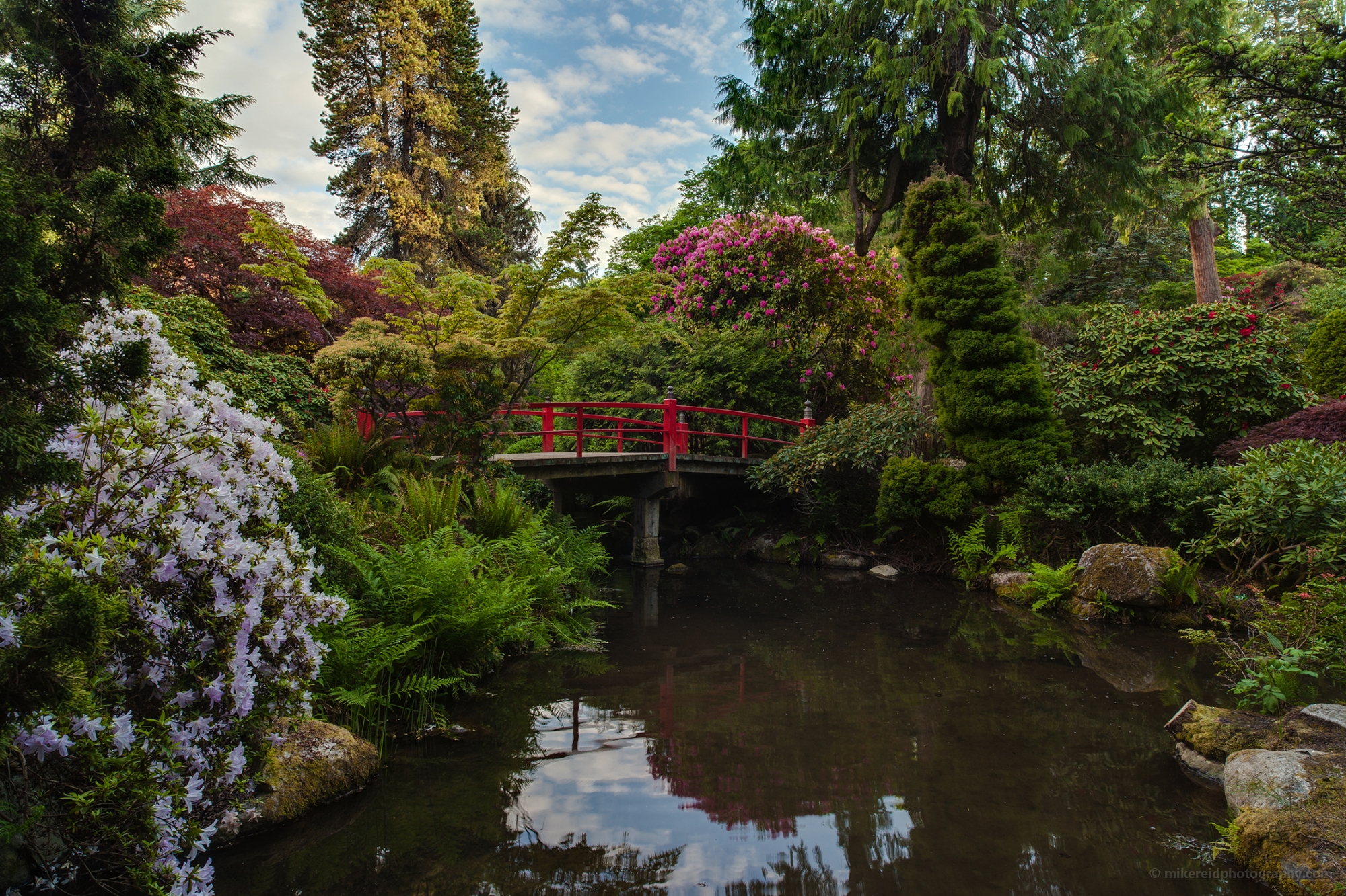 Spring Kubota Gardens Bridge