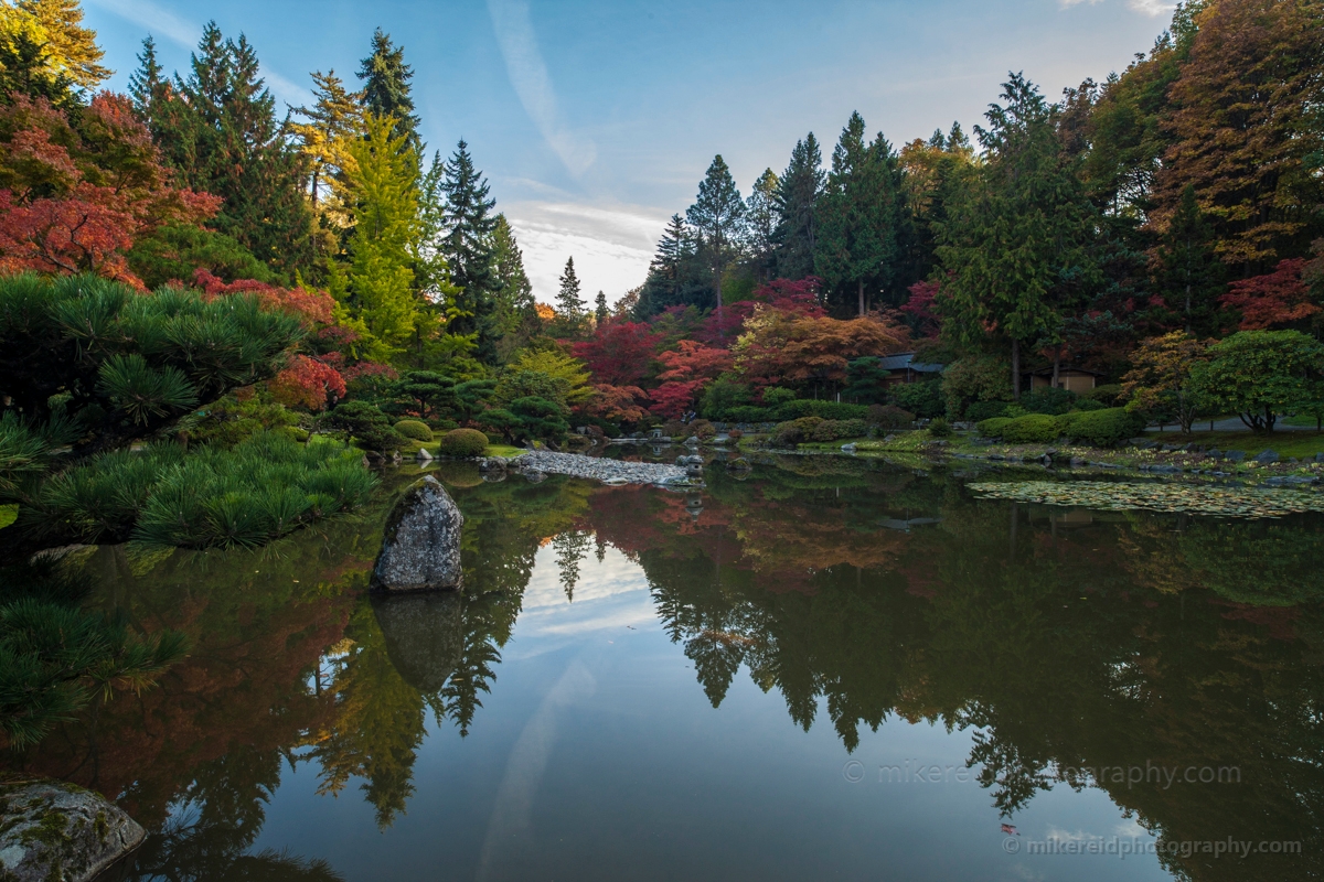 Vibrant Fall Palette