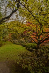 Autumn Lawn.jpg