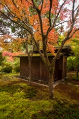 Japanese Fall House To order a print please email me at  Mike Reid Photography : leaf, leaves, fall, fall colors, autumn, autumn colors, acer, japanese maples, botanical, abstract, bokeh, zeiss, macro, northwest, northwest images, canon, 85mm, 50mm, thin depth of field, reflection, pond, seattle arboretum, japanese garden