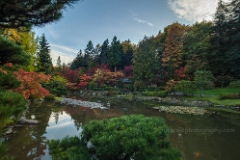 Japanse Garden Vista To order a print please email me at  Mike Reid Photography : leaf, leaves, fall, fall colors, autumn, autumn colors, acer, japanese maples, botanical, abstract, bokeh, zeiss, macro, northwest, northwest images, canon, 85mm, 50mm, thin depth of field, reflection, pond, seattle arboretum, japanese garden