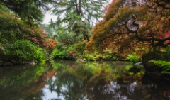 Seattle Kubota Gardens Symmetry To order a print please email me at  Mike Reid Photography