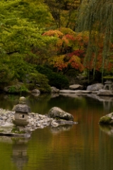 Serene Water Scene To order a print please email me at  Mike Reid Photography : leaf, leaves, fall, fall colors, autumn, autumn colors, acer, japanese maples, botanical, abstract, bokeh, zeiss, macro, northwest, northwest images, canon, 85mm, 50mm, thin depth of field, reflection, pond