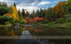 Wider Fall Colors Reflection.jpg