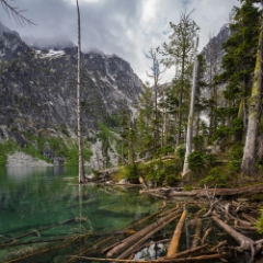 Colchuck Lake Logjam To order a print please email me at  Mike Reid Photography