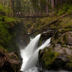 Sol Duc Falls and Bridge To order a print please email me at  Mike Reid Photography : sol duc, sol duc falls, waterfall, olympic national park, washington state, northwest images, northwest, peaceful, nature, landscape, mosses, ferns, rainforest