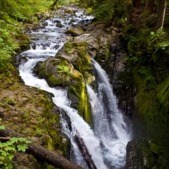 Spring Falls To order a print please email me at  Mike Reid Photography : sol duc, sol duc falls, waterfall, olympic national park, washington state, northwest images, northwest, peaceful, nature, landscape, mosses, ferns, rainforest, northwest photography