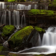 Water Cascading To order a print please email me at  Mike Reid Photography : sol duc, sol duc falls, waterfall, olympic national park, washington state, northwest images, northwest, peaceful, nature, landscape, mosses, ferns, rainforest, northwest photography