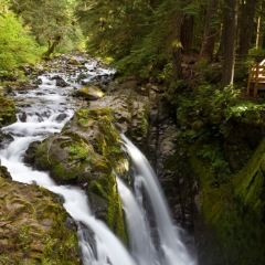 Wide Sol Duc Waterfall To order a print please email me at  Mike Reid Photography : sol duc, sol duc falls, waterfall, olympic national park, washington state, northwest images, northwest, peaceful, nature, landscape, mosses, ferns, rainforest, northwest photography, canon photography