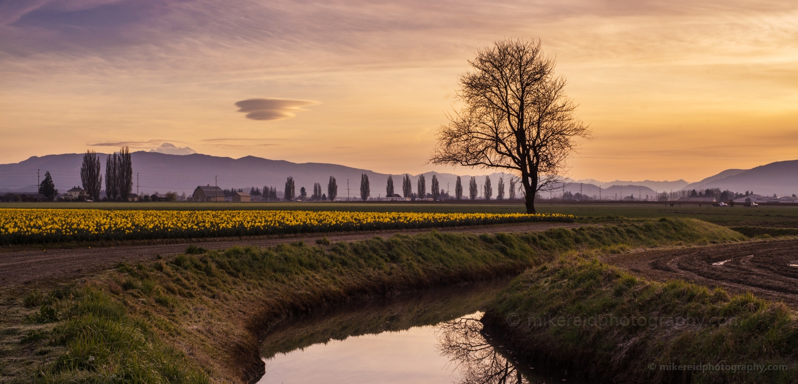 Skagit Valley Flying Saucer.jpg 