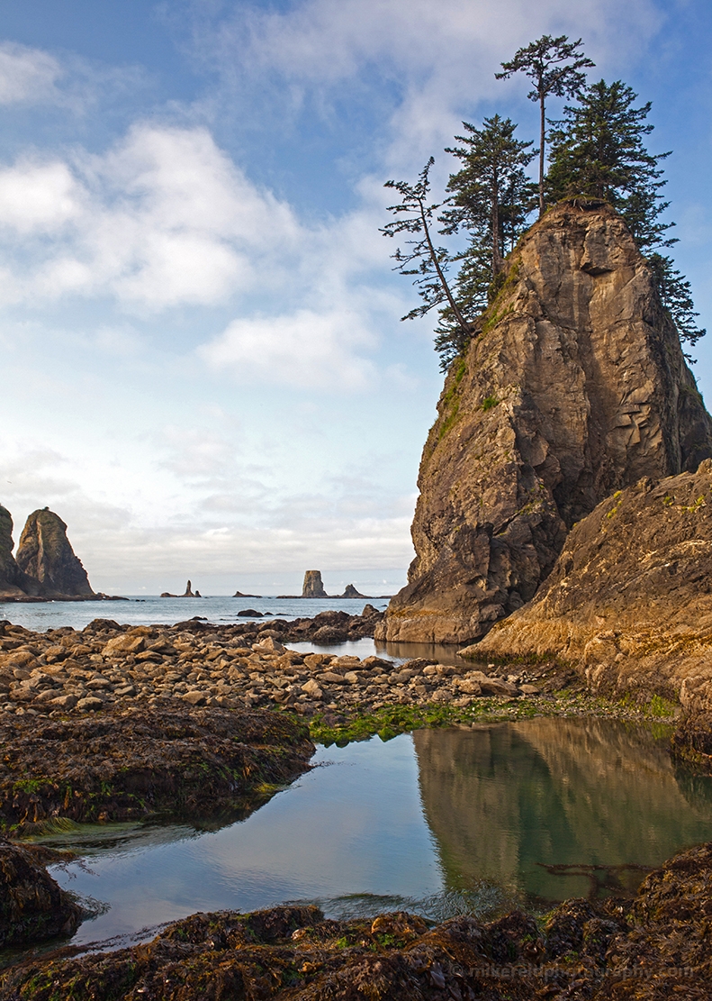 Washington Coastal Tidepools 