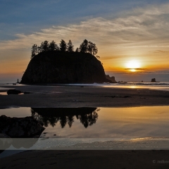 Second Beach Reflections To order a print please email me at  Mike Reid Photography : washington coast, oregon coast, washington beaches, oregon beaches, shi shi beach, second beach, cannon beach, seaside, sunset, sunrise, tidepools, reflections