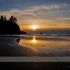 Second Beach Tide Reflections To order a print please email me at  Mike Reid Photography : washington coast, oregon coast, washington beaches, oregon beaches, shi shi beach, second beach, cannon beach, seaside, sunset, sunrise, tidepools, reflections